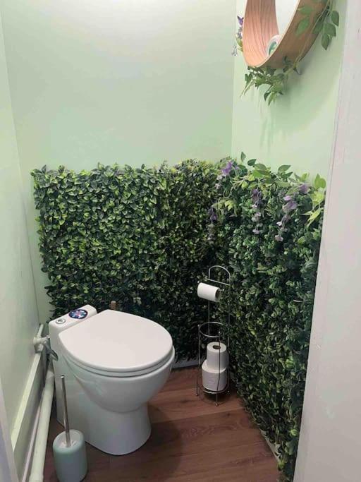 Appartement Escale Caux Cooning**** Charme Et Balneo *